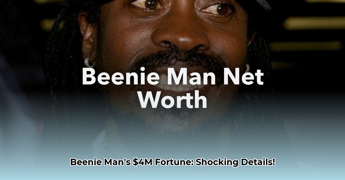 beenie-man-net-worth